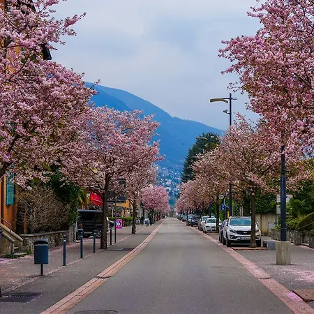 Garni Sport 2* Ascona
